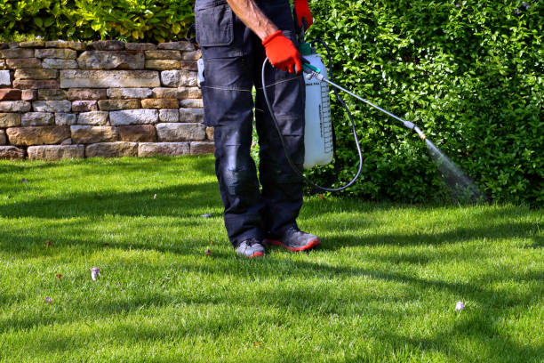 Best Seasonal Pest Control  in Salunga, PA